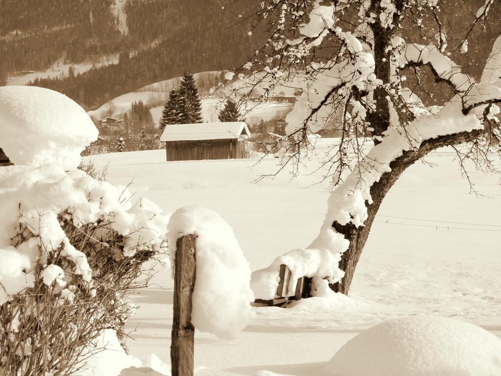 Haus Hohenwarter Hotell Lofer Rum bild